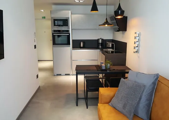 Apartament Vip, With Free Garage Parking