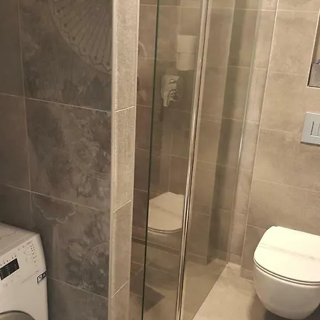 Vip, With Free Garage Parking *