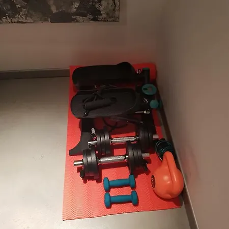 Vip, With Free Garage Parking 普拉